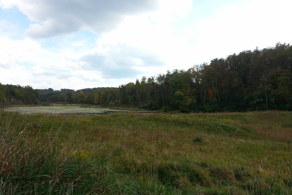 Elevation of Pell Road, Pell Rd, Third, WV, USA Topographic Map