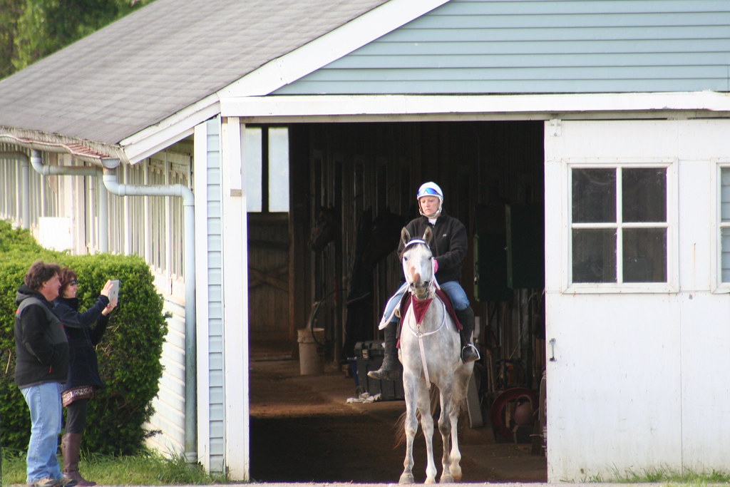 Middleburg Training Center A grey horse sets off for a Sat… Flickr