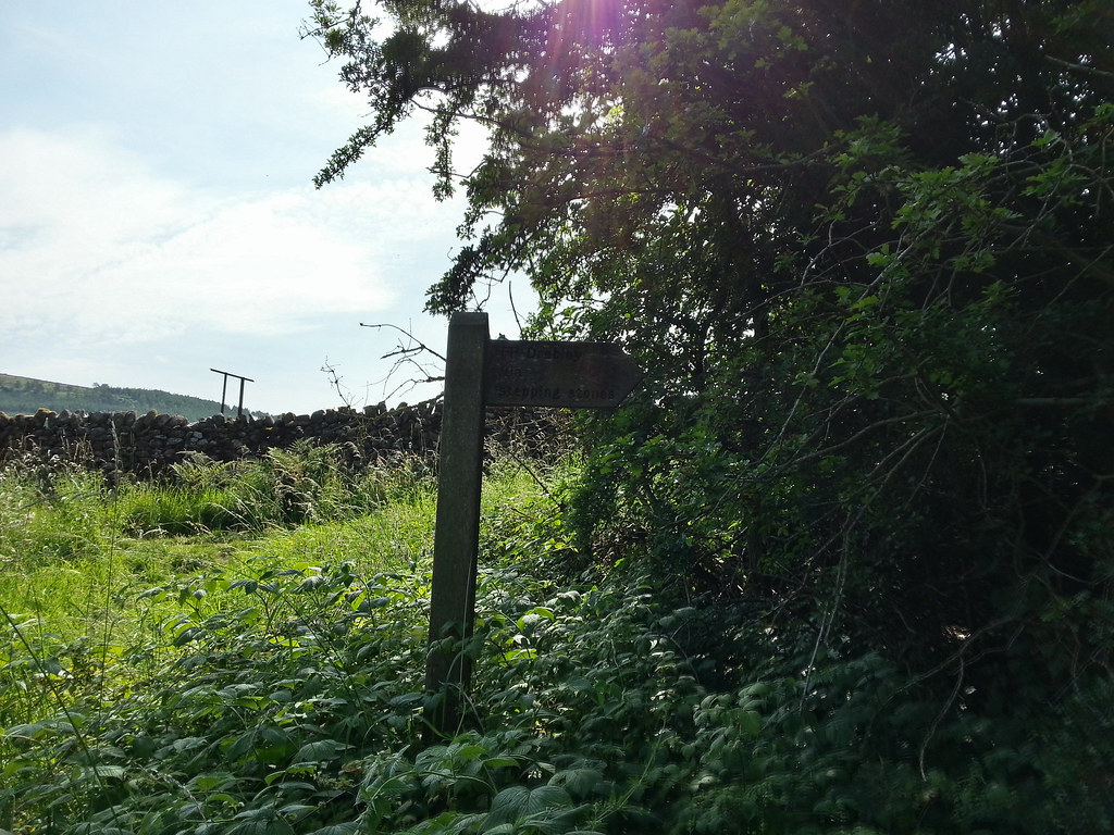 simons seat walk to Simons seat Bolton Abbey oldpigman Flickr