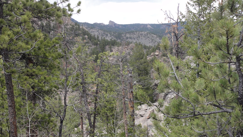 DSC02061 Views along Frog Pond Trail off Red Feathers Lake… Flickr