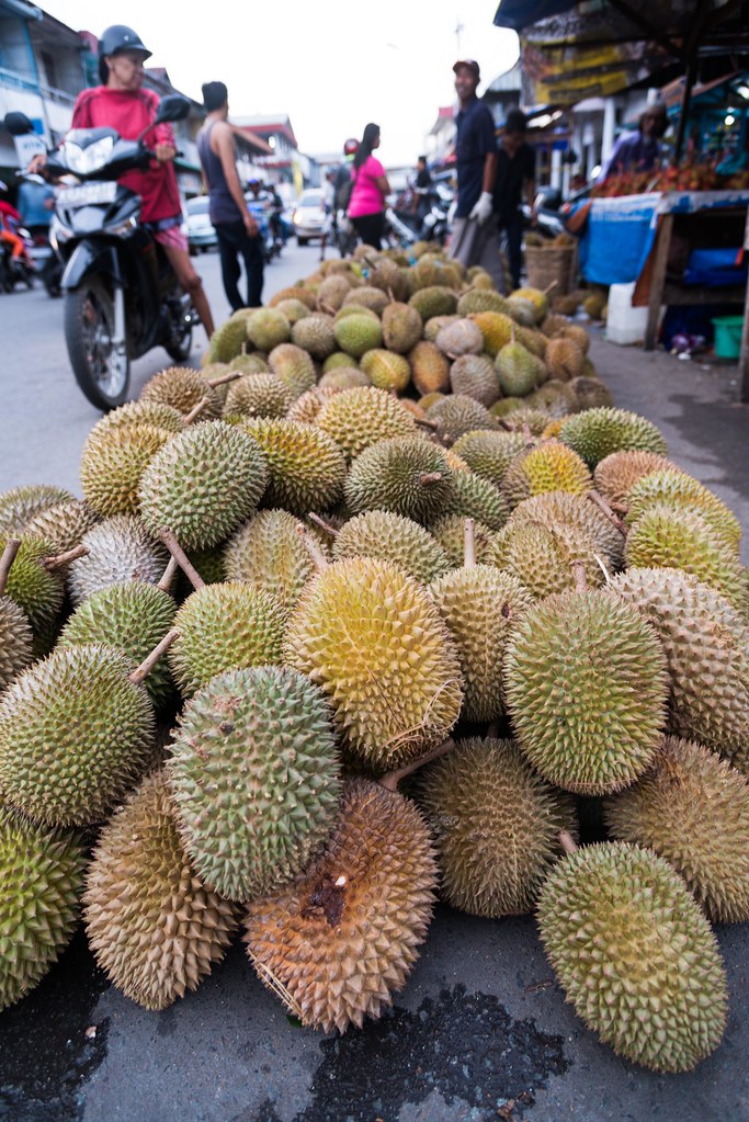 Durian Season Indonesia only has 2 seasons which is Dry