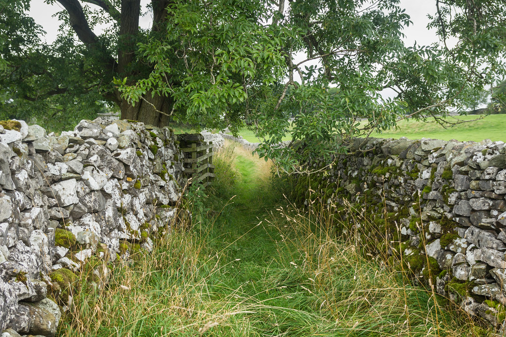 Path untaken neilbruder Flickr