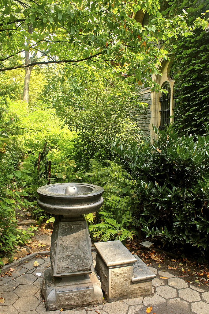 Fountain of youth? heheh Nieza Flickr