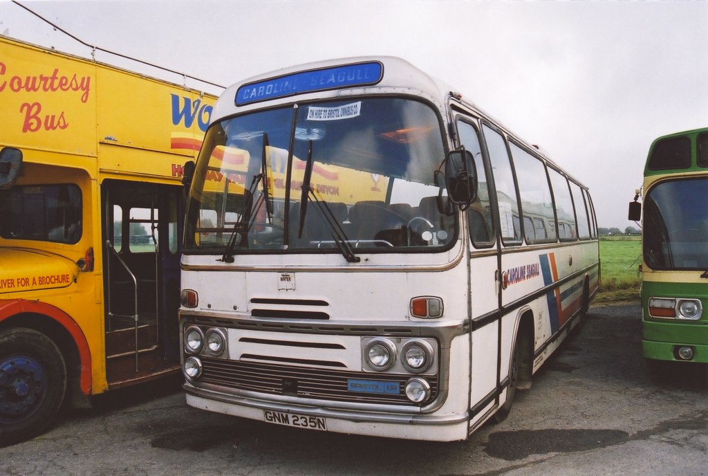CAROLINE SEAGULL GNM235N WINKLEIGH 061002. David Beardmore Flickr