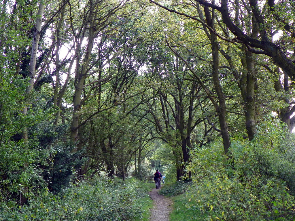 GOC London Colney 056 Colney Heath LNR Colney Heath Local… Flickr