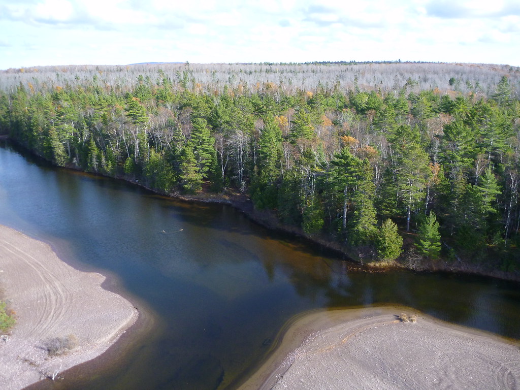 Black Creek Nature Sanctuary Taken at the Black Creek Natu… Flickr