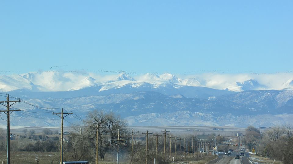 Near Highway 52 Longmont, CO (1) USFWS MountainPrairie Flickr