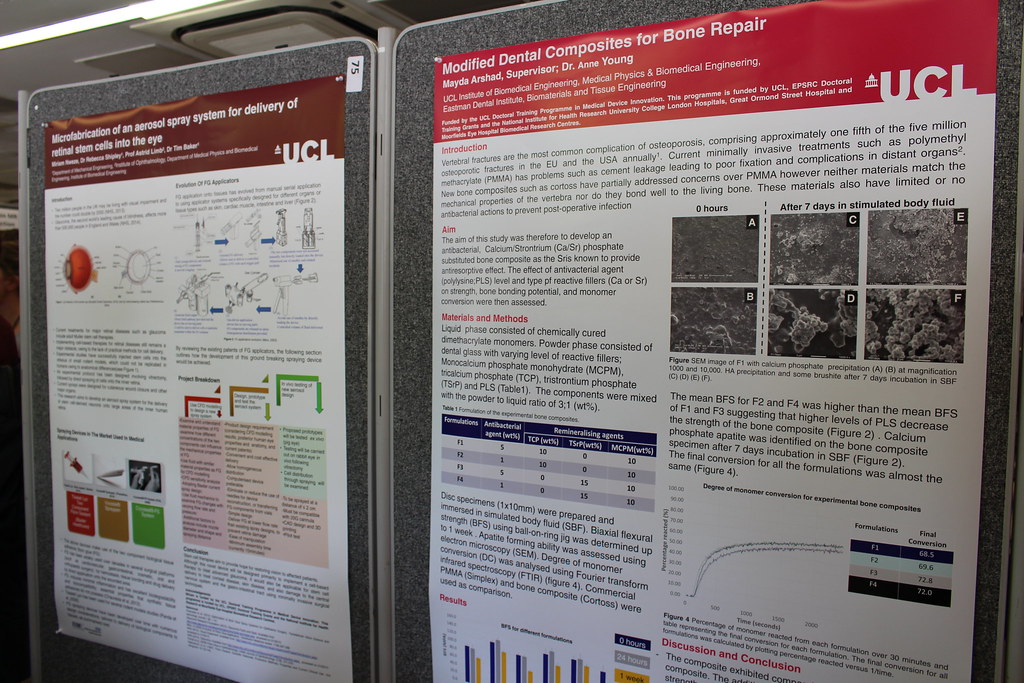 UCL poster presentations 2015 Flickr