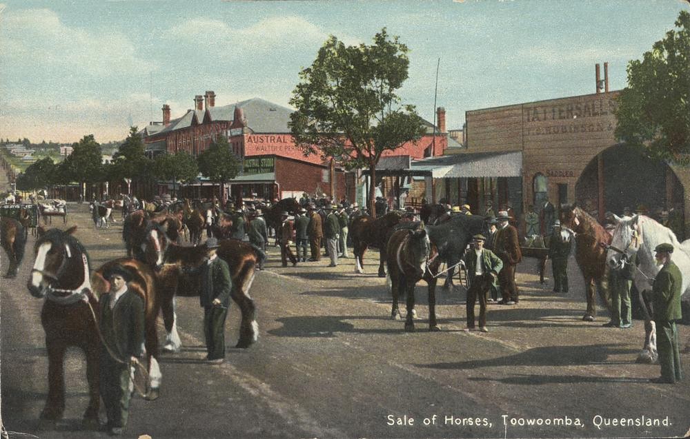 Horse Sales, Toowoomba circa 1910 a photo on Flickriver