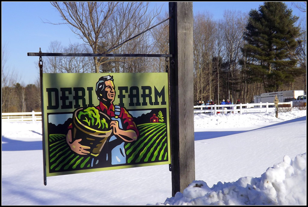 Skyline Farm, North Yarmouth, February 8, 2014 (14) Flickr