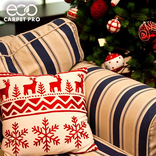 Professional Rug Cleaning Virginia Beach A professional ru… Flickr