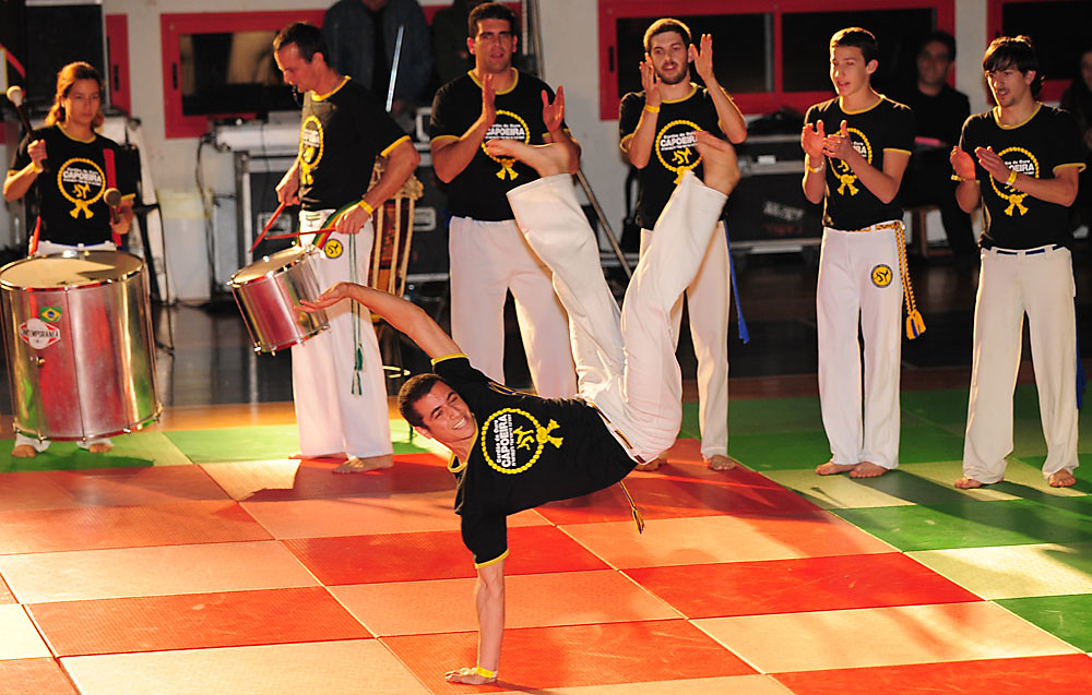 Martial Arts Show 2008 Agasandian Flickr