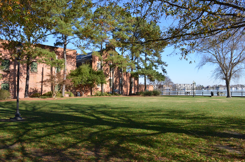 DSC_0210 Waterfront Park Elizabeth City, NC Lotus Flower Flickr
