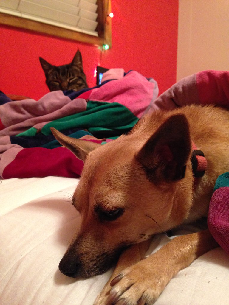 IMG_0231 Sellwood Vintage Rental Flickr