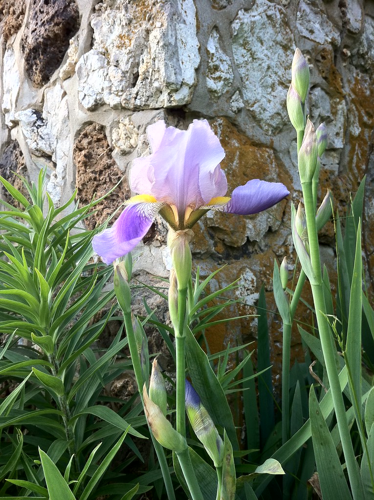 E Diamond Lake Dr, Horseshoe Bend, AR, USA Sunrise Sunset Times