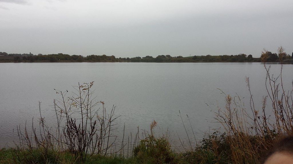 Ardsley Reservoir Winter walk round the res. Michelle Rodríguez