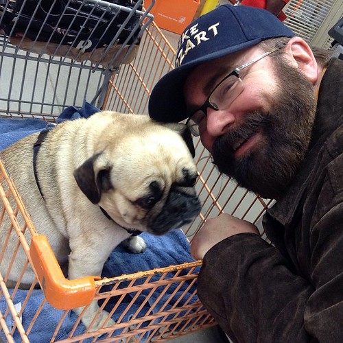 Home Depot Pug Dog in Home Depot Shopping Cart with Mike M… Flickr