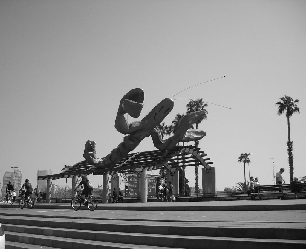 474734_10151472430875486_352388583_o (1) Daniel Hazelden Flickr