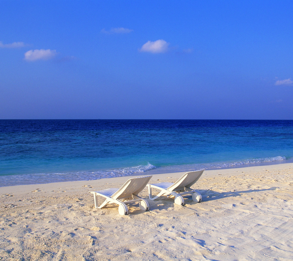 Untitled Gary Adams Flickr