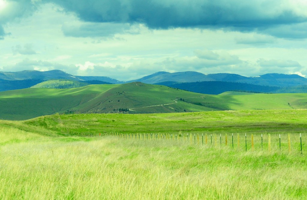 Rolling Hills of Montana Somewhere off Highway 2 in Montan… Flickr