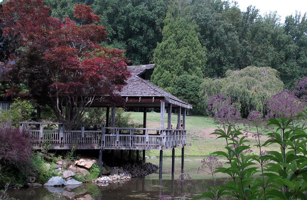 Brookside Gardens in August Credit Brookside Gardens and l… Flickr