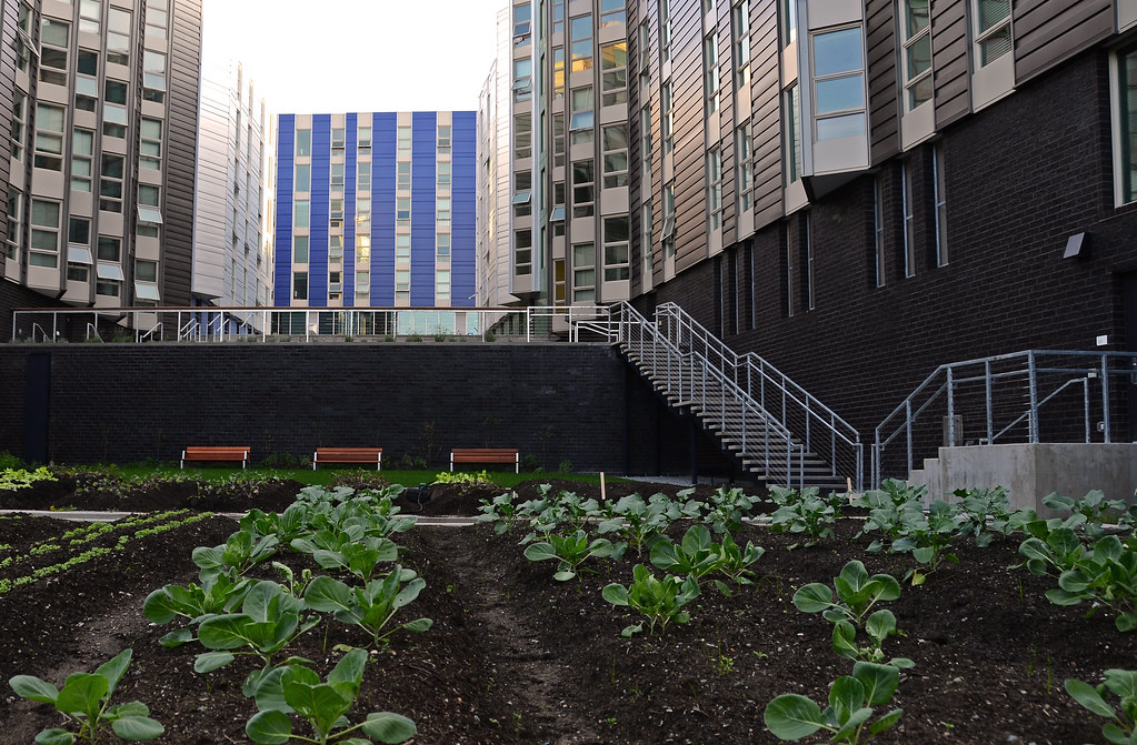 Mercer farm 9 HFS Flickr