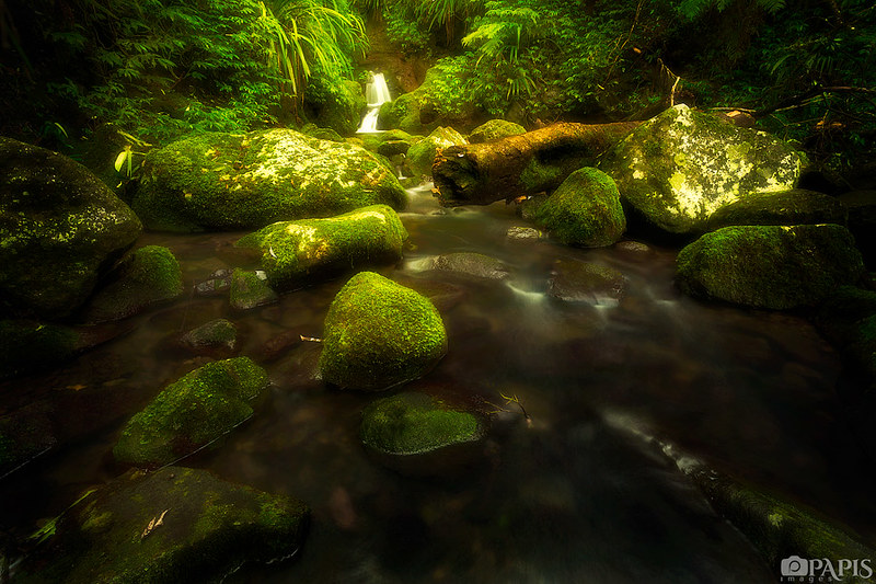 HD 720P Free Stream Underwater stilotuning