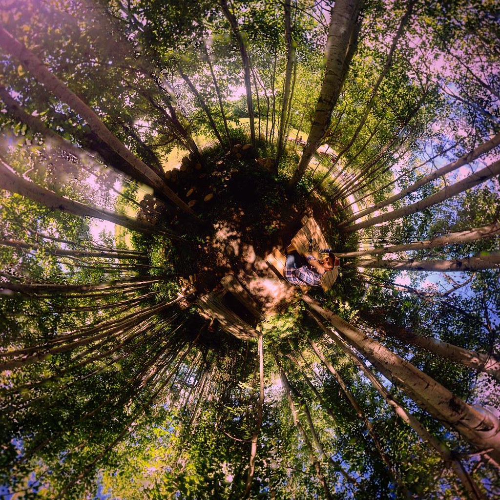 The secret grove Twistal Flickr