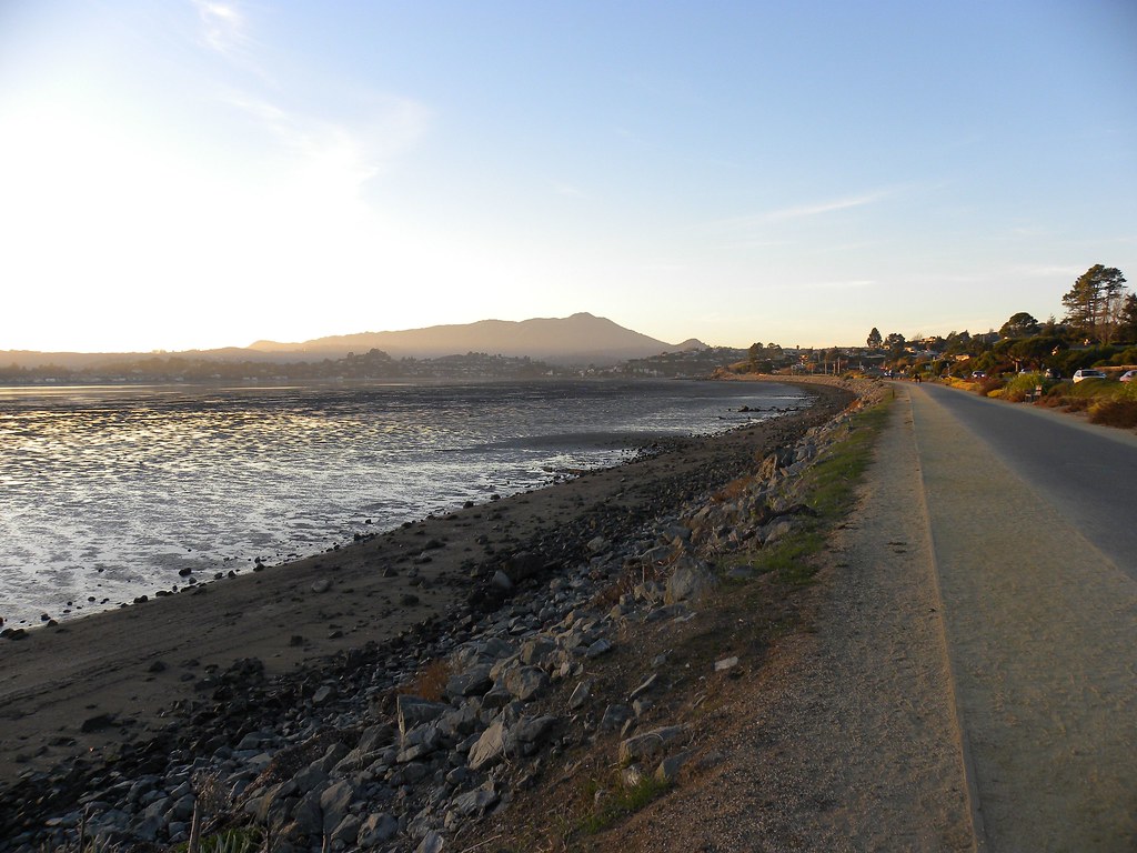 Tiburon Blvd., Richardson Bay at Low Tide Photo by Megan … Flickr