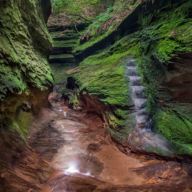 Turkey Run State Park, IN. The Punch Bowl Hike. Bring rive… Flickr