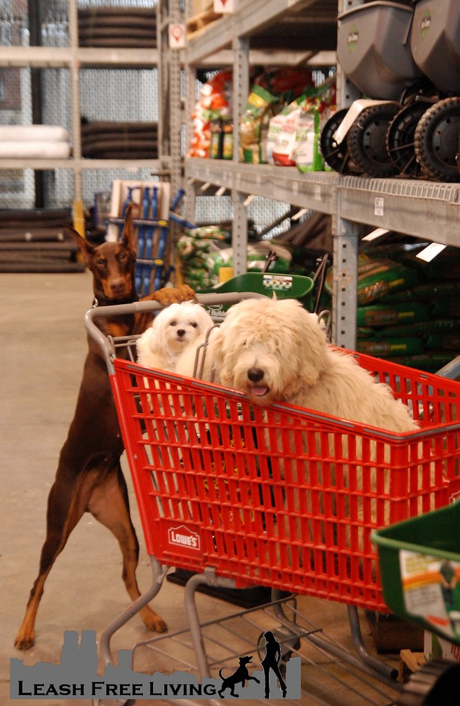 Lowes Field Trip Samantha Daley Flickr