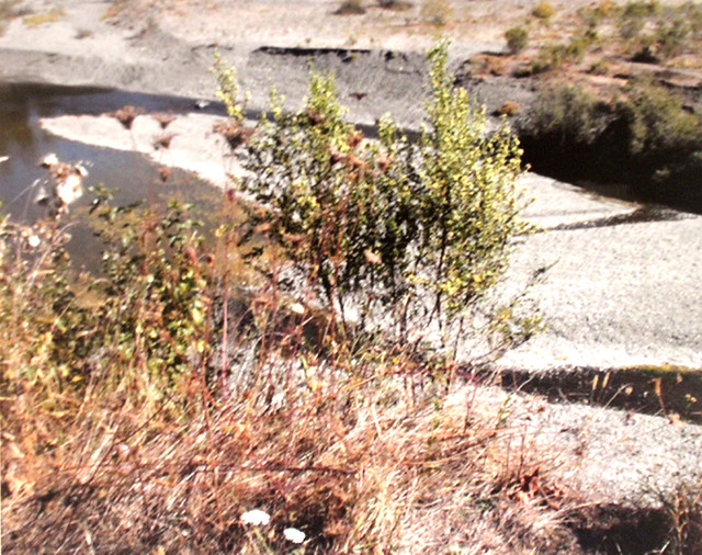 85 The Sandy River III By Tom Sinna, Timber Ridge Eureka… Flickr