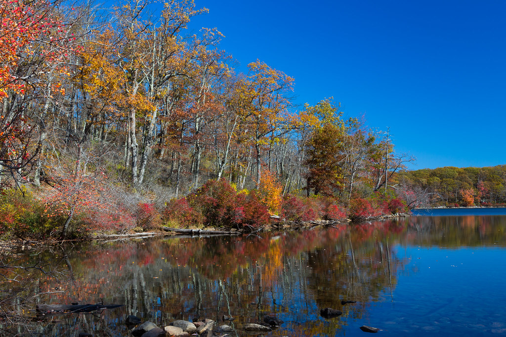 243_20202 Delaware Water Gap Sun Fish Pond Patrick Kane Flickr