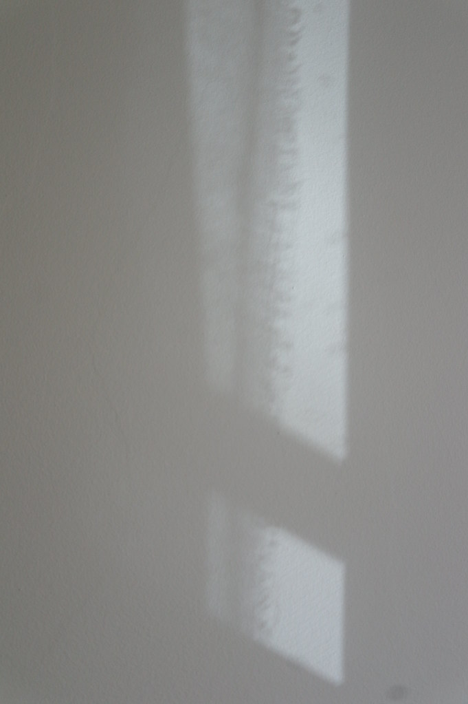 Back light filtered through fabric Flickr