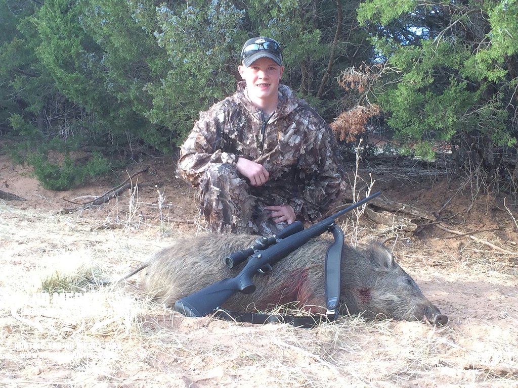 No Mercy Hog Hunts Oklahoma No Mercy Hog Hunts Oklahoma Flickr