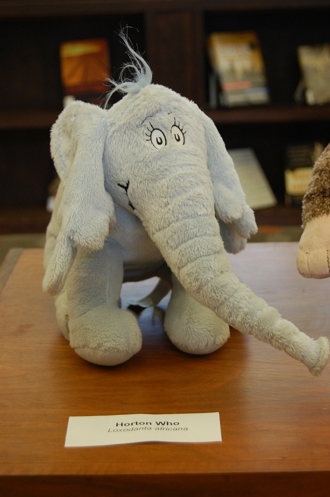 Crossett Library Petting Zoo Flickr