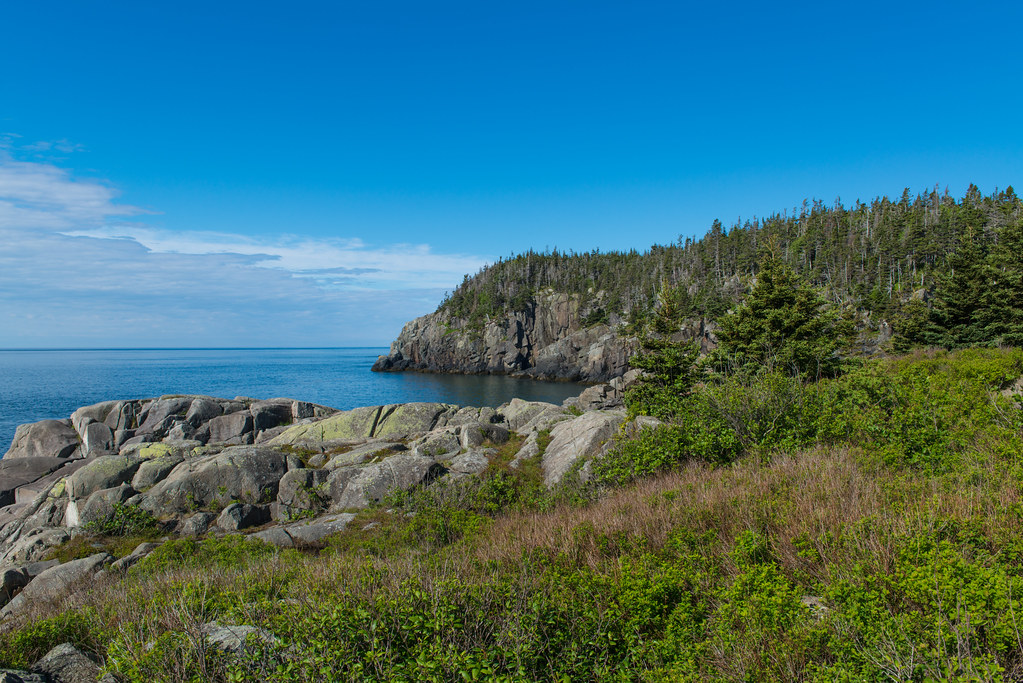Quoddy Head State Park near Lubec, Maine Dan Flickr