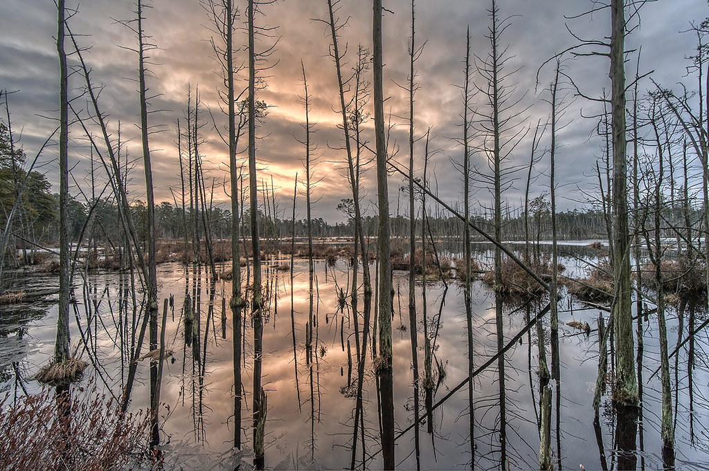 Goshen Pond Sunrise NJ Pinelands Ernest Cozens Flickr