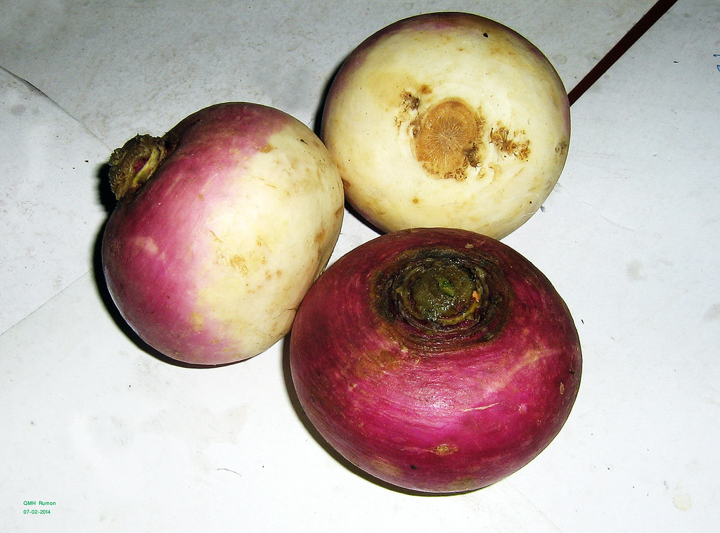 শালগম / Turnip The turnip or white turnip (Brassica ra… Flickr