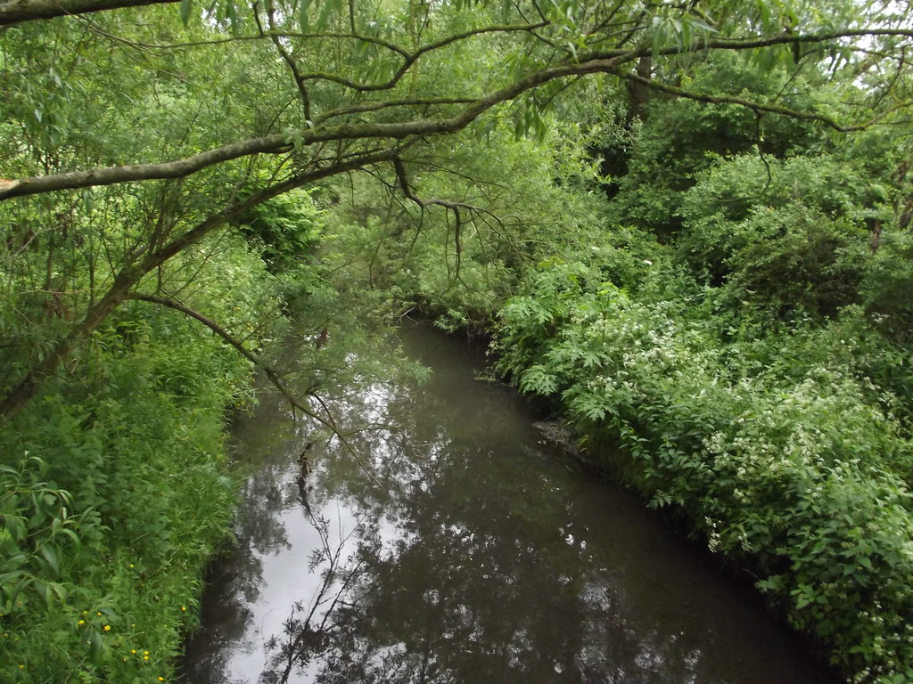 Rea Valley Route Stirchley River Rea The Rea Valley Ro… Flickr