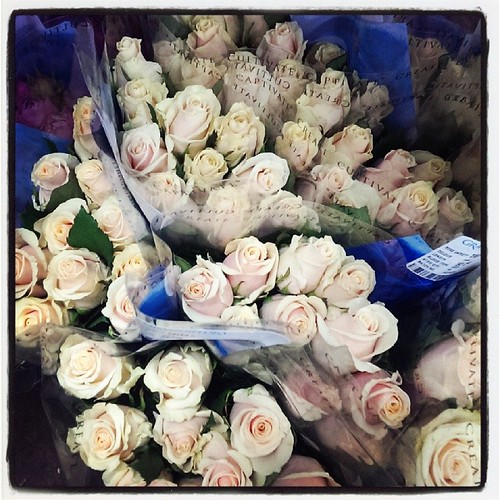 Roses awaiting there Perth brides, ready to go into bouqu… Flickr