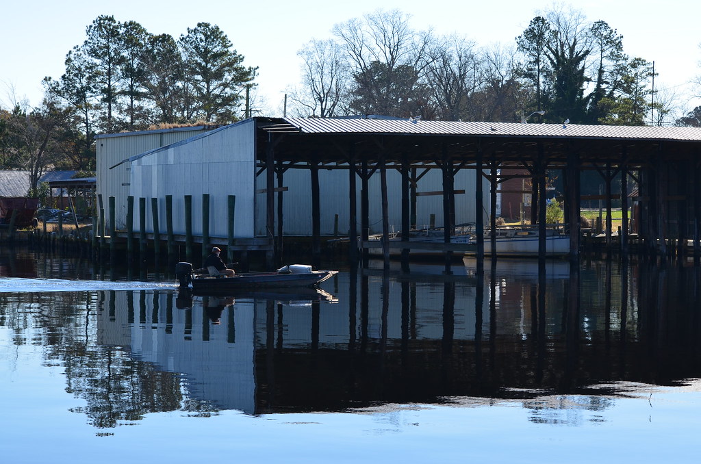 DSC_0250 Waterfront Park Elizabeth City, NC Lotus Flower Flickr