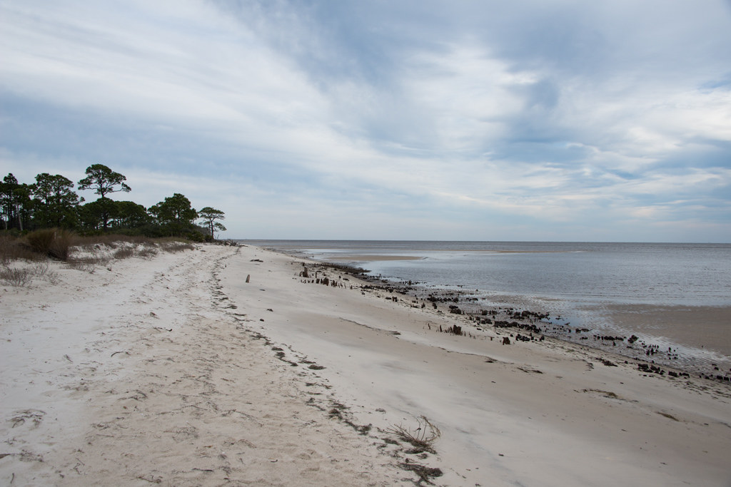 Elevation of Ochlockonee Bay, FL, USA Topographic Map Altitude Map