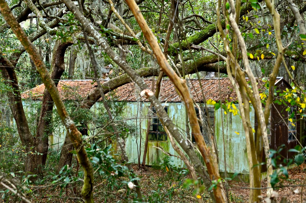 Oatland Island Wildlife Center Savannah GA a photo on