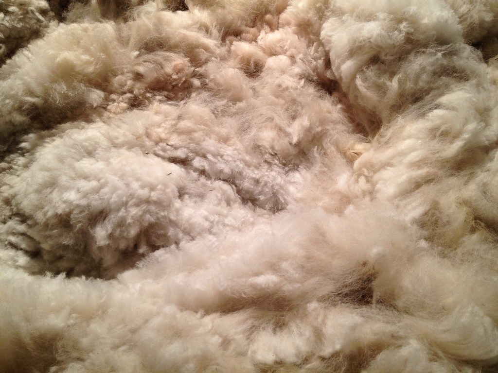 Karli Prime Fiber 3 (ALPACA) Fine White Alpaca Fiber … Flickr