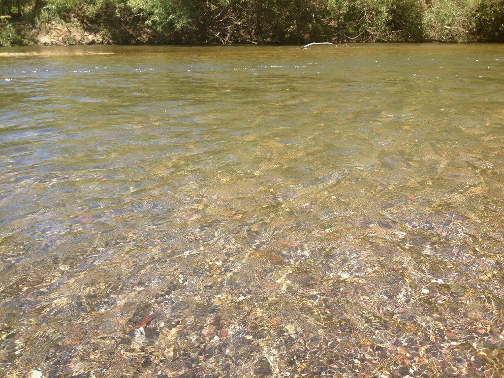 Russian River A day of lazy rafting down the Russian River… Flickr
