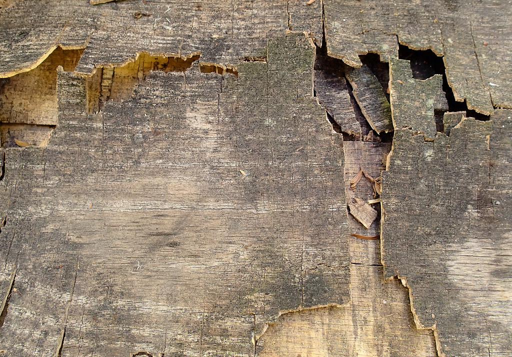 Warped Plywood Matt Peterson Flickr