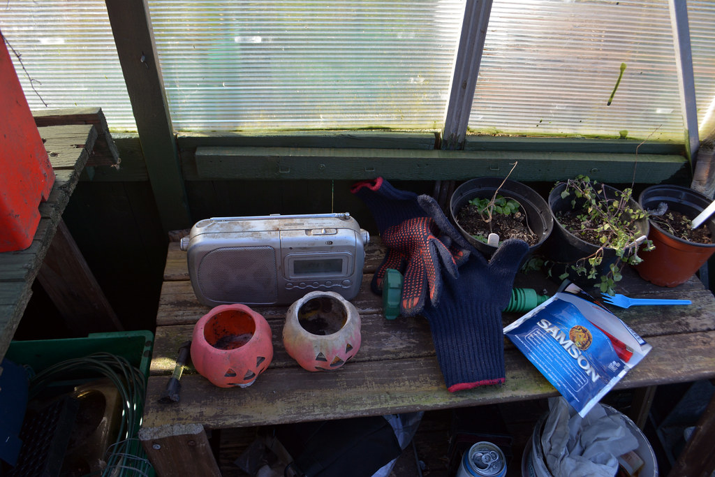 Chudleigh Road allotments. Flickr