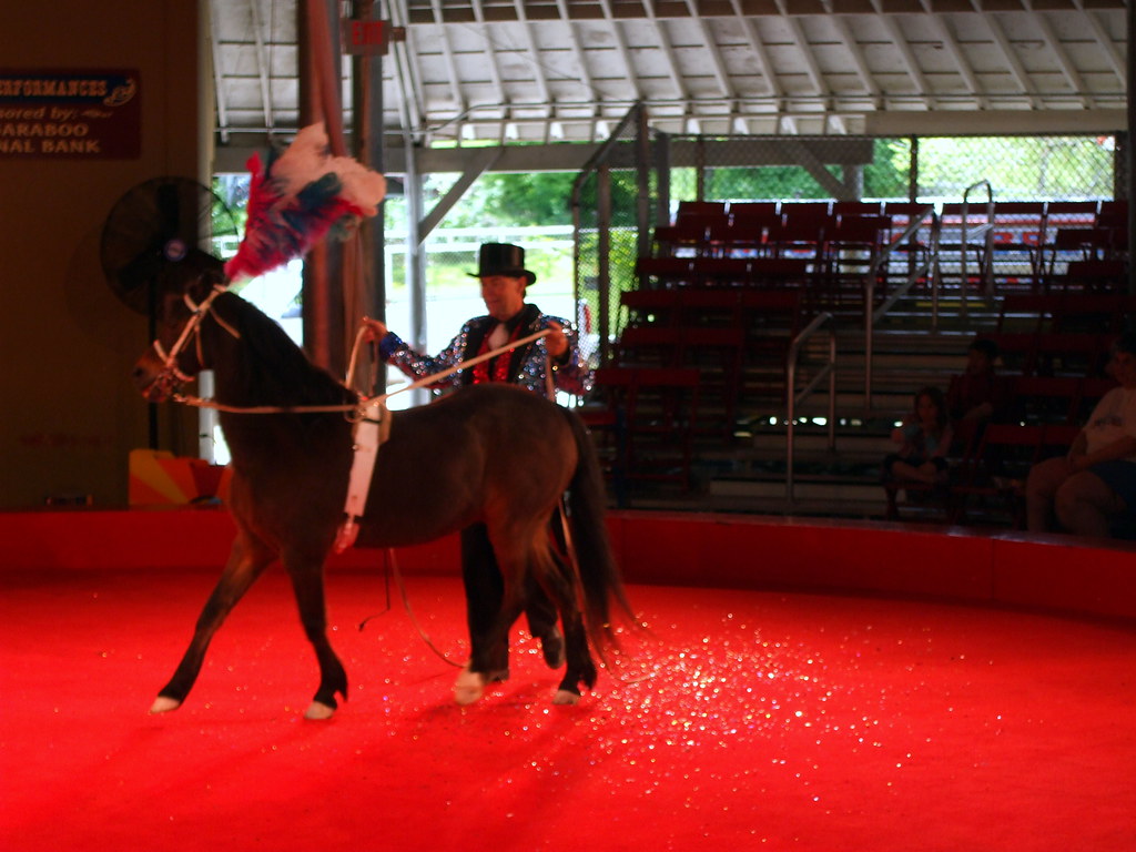 Horse Act Razzle Dazzle Revue. Mark Flickr