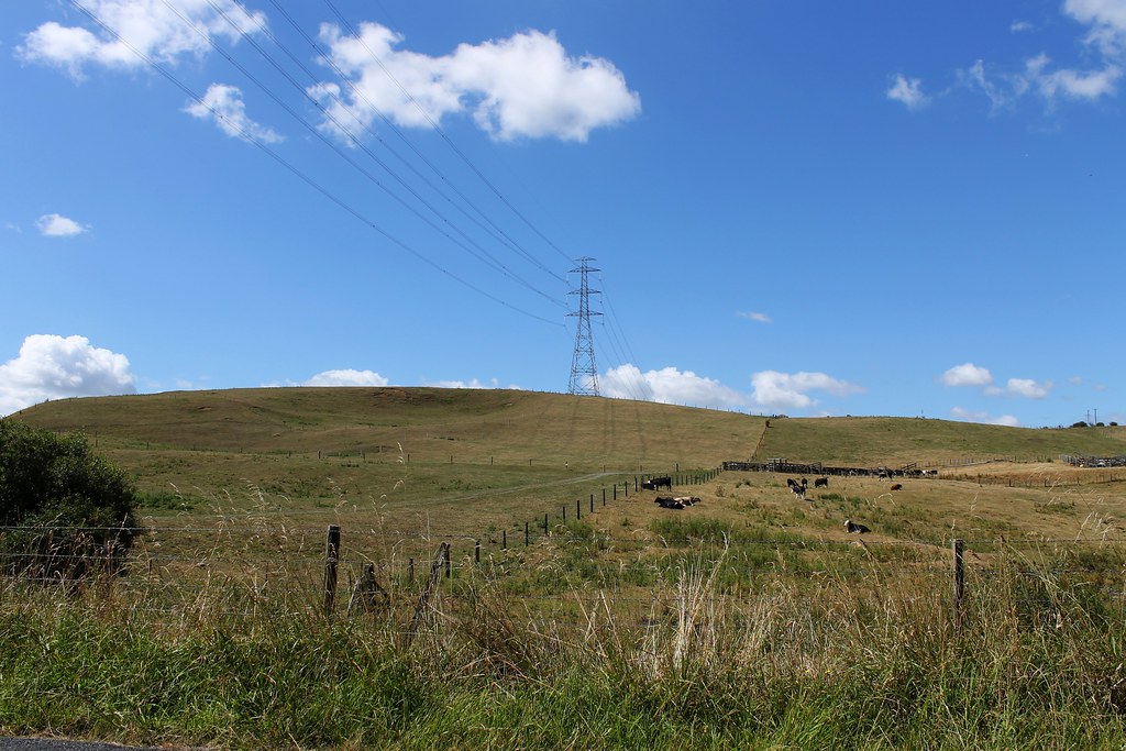 Buckland Road revisited2 Looking a bit greener this year s… Flickr